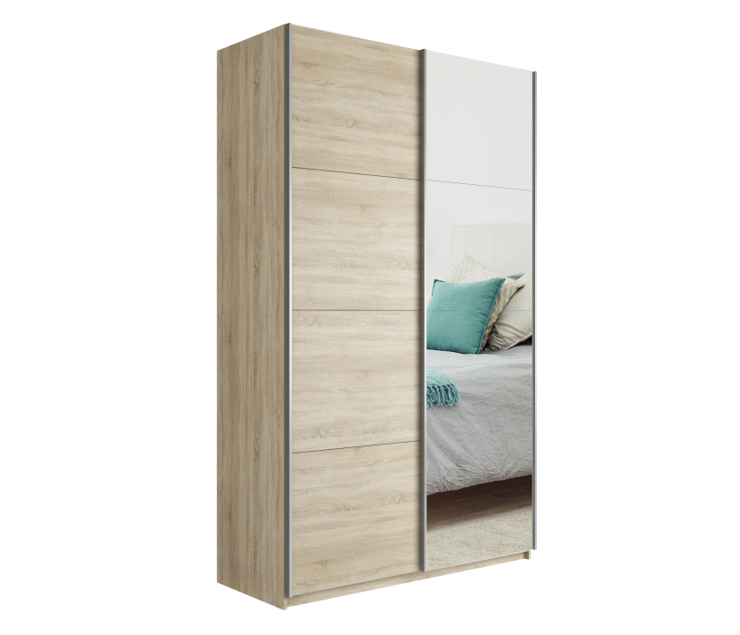 Шкафы-купе 2-х дверные, Шкаф Прайм дуо ДСП+зеркало 2300 х 1400 х 570