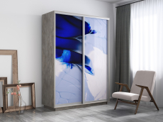 Шкафы-купе, Шкаф-купе Экспресс 1010, 120х45х240