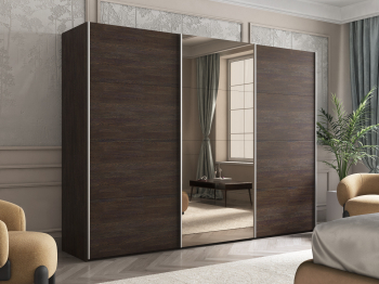 Шкаф-купе Эста ДСП+Зеркало+ДСП 270х66х240