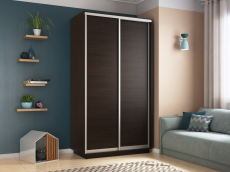 Шкафы-купе 2-х дверные, Шкаф-купе Экспресс Хит 2х дверный ДСП 120х60х220