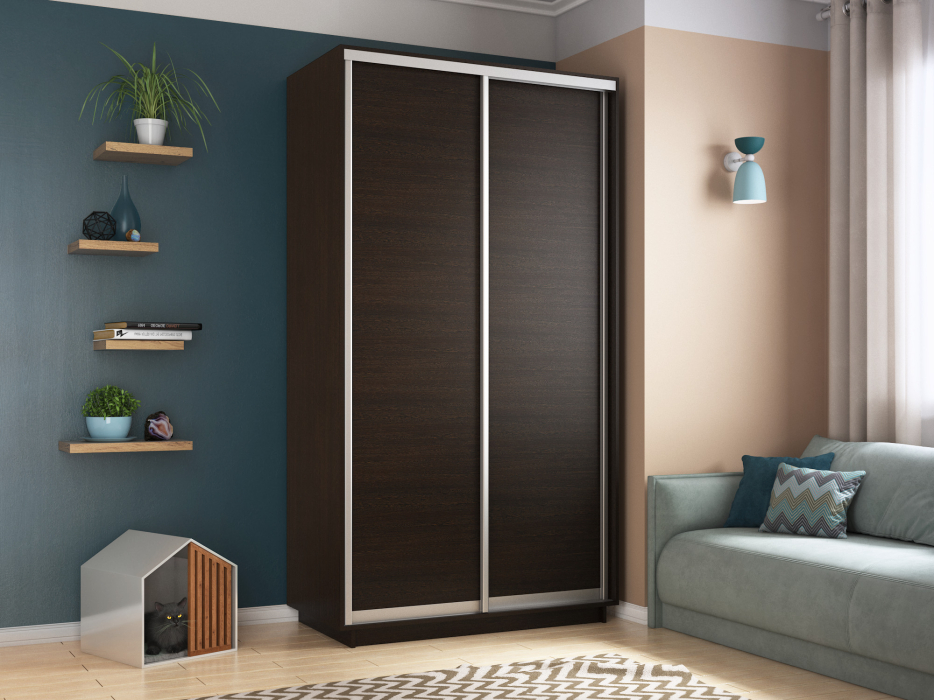 Шкафы-купе 2-х дверные, Шкаф-купе Экспресс Хит 2х дверный ДСП 120х60х220