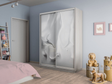 Шкафы-купе 2-х дверные, Шкаф-купе Экспресс 2-х дверный Фотопечать Шелк Стекла 160х45х240