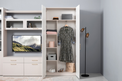 Шкаф для одежды Ричфорд 16.327.02