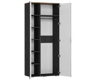 Шкаф распашной Ингрия 6