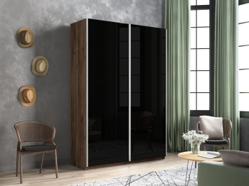 Шкаф-купе Прайм 2-х дверный Стекла черные/Доводчики 160х57х230