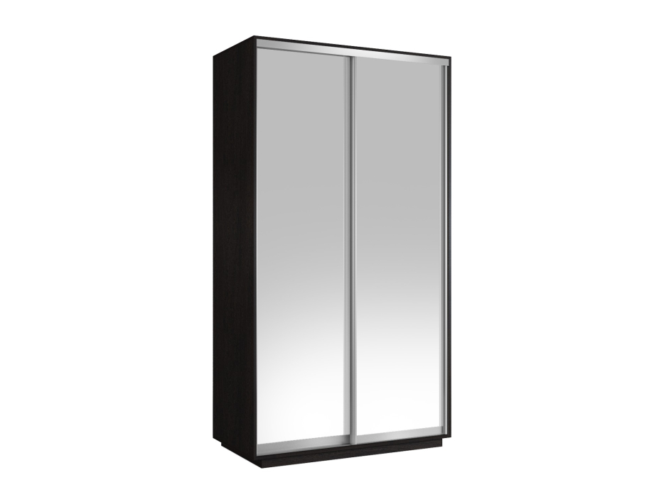 Шкафы-купе 2-х дверные, Шкаф-купе Экспресс Хит 2х дверный Зеркала 120х60х220