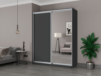 Шкаф-купе Экспресс 2-х дверный, ДСП/Зеркало, 180х45х220