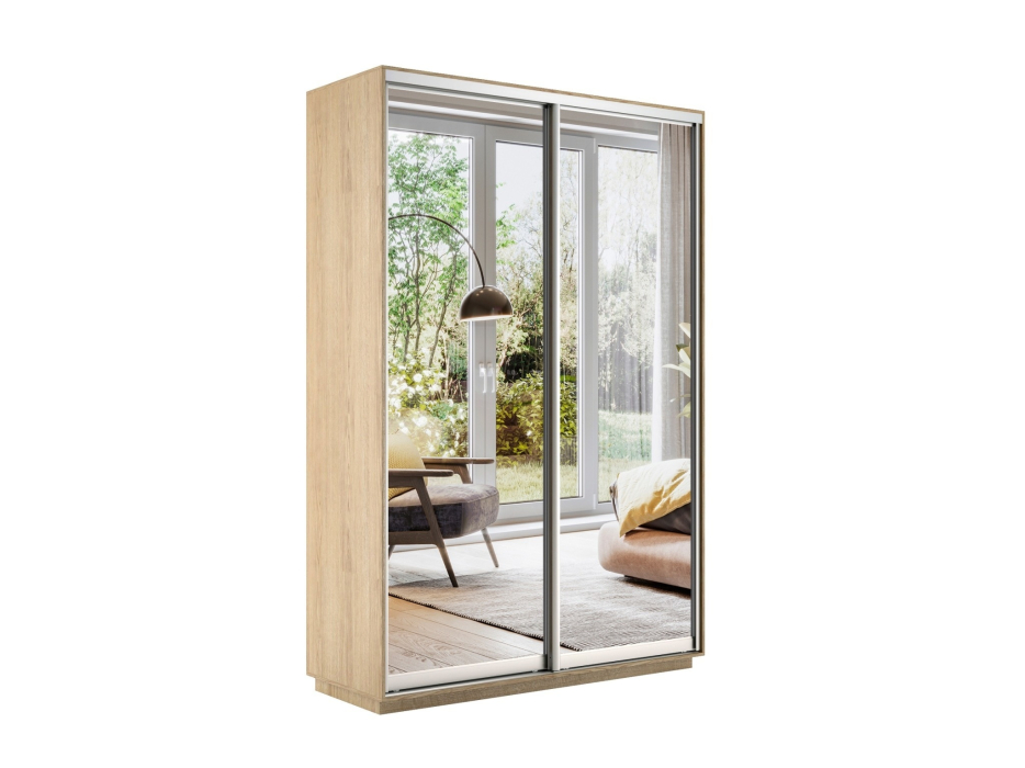 Шкафы-купе 2-х дверные, Шкаф-купе Экспресс Экспенс дуо 2200 x 1200 x 450