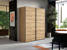 Шкафы-купе 2-х дверные, Шкаф-купе Эста ДСП+ДСП 160х66х240