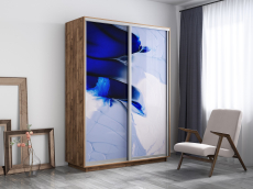 Шкафы-купе, Шкаф-купе Экспресс 1010, 120х45х240