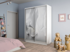 Шкафы-купе 2-х дверные, Шкаф-купе Экспресс 2-х дверный Фотопечать Шелк Стекла 160х45х240