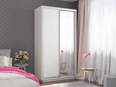 Шкафы-купе 2-х дверные, Шкаф-купе Экспресс Хит 2х дверный ДСП/Зеркало 120х60х220