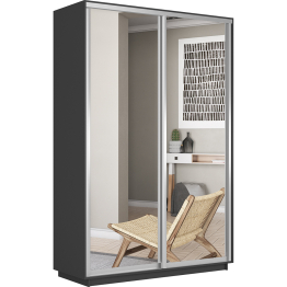 Шкаф-купе Экспресс Экспенс дуо 2400 x 1200 x 600