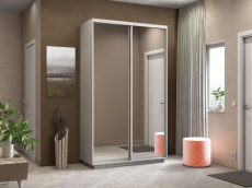 Шкафы-купе, Шкаф-купе Экспресс Экспенс дуо 2400 x 1400 x 600