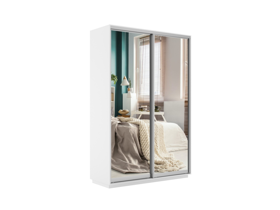 Шкафы-купе 2-х дверные, Шкаф-купе Экспресс Экспенс дуо 2200 x 1200 x 450