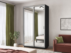 Шкафы-купе 2-х дверные, Шкаф-купе Экспресс Хит 2х дверный Зеркала 120х60х220