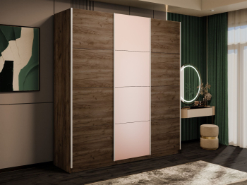 Шкаф-купе Эста 3-х дверный ДСП/Стекла пудра/Доводчик 240х66х240