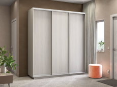 Шкафы-купе 3-х дверные, Шкаф-купе Экспресс Элемент трио 2200 x 2100 x 450