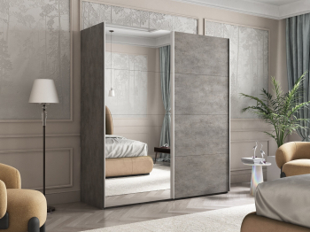 Шкаф-купе Эста ДСП+Зеркало 200х66х240