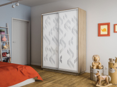 Шкафы-купе 2-х дверные, Шкаф-купе Экспресс 2-х дверный Фотопечать Ленты Стекла 160х60х240